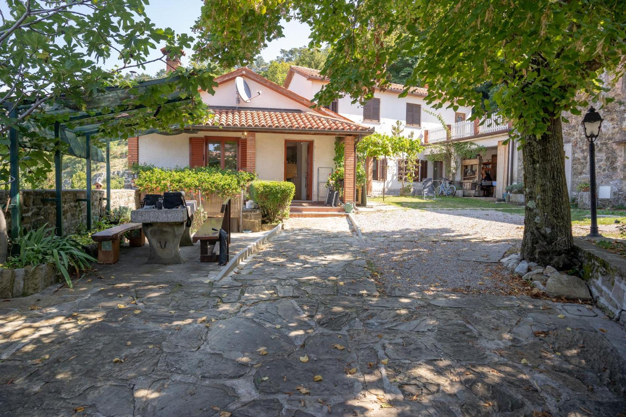 Črni Kal Violet'S Place מראה חיצוני תמונה